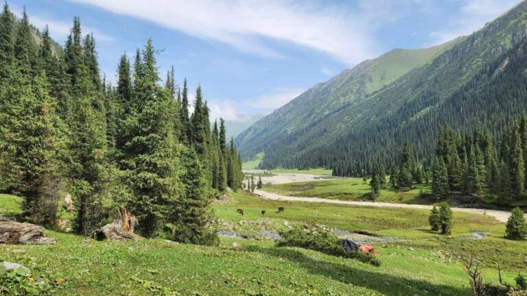 Altyn Arashan Transfer from Karakol — Prices, Departures, Book Online photo