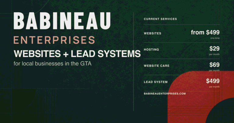 Websites and Lead Systems for Local Businesses | Babineau Enterprises photo
