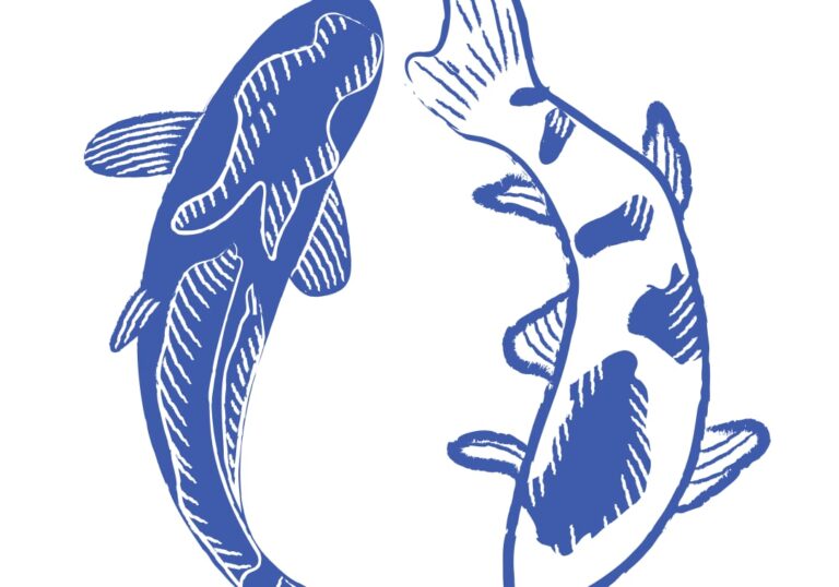 Fresh Fish and Seafood Delivered Daily | Flf Daily Fresh photo