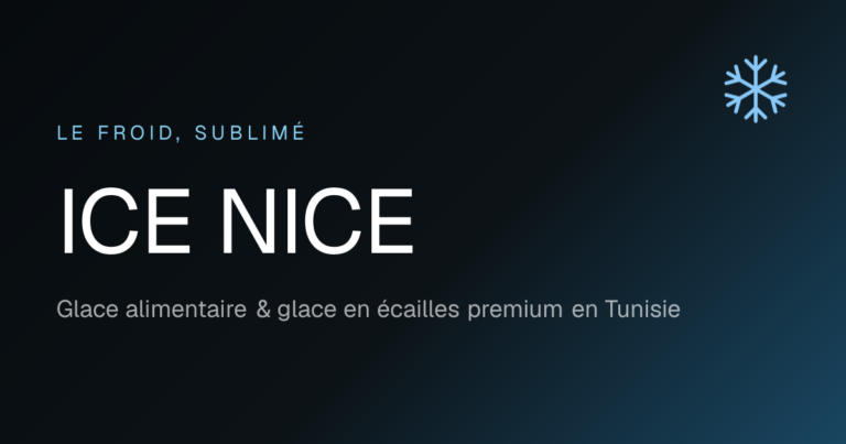 ICE Nice — Glace Alimentaire & Glace en Écailles Premium en Tunisie photo