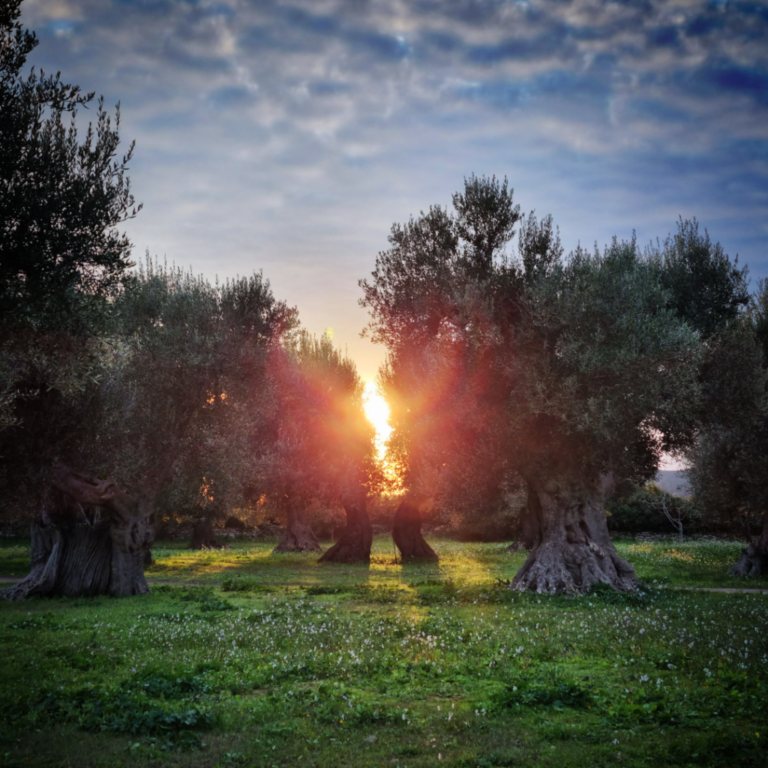 Benvenuti a Le Grotte di Sileno photo