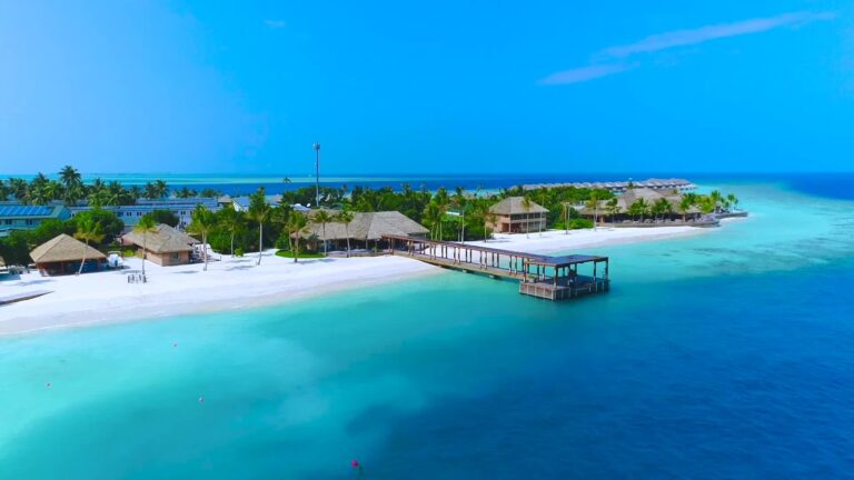 Al Hayat Solutions | Life, Travel & Opportunities