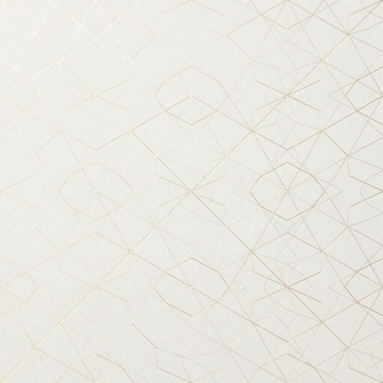 APEX 24 | Recruitment & Talent Solutions