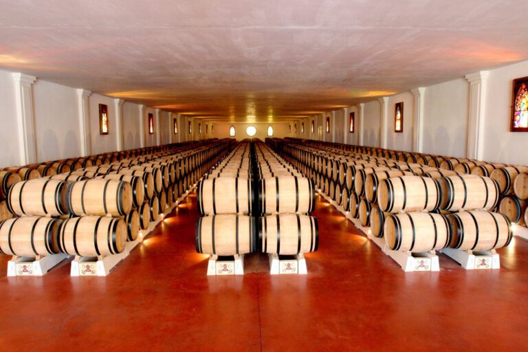Accueil – Cave Vins de France