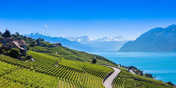 Accueil – Cave Vins de France