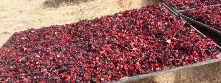 ALIMENTOS BATAVIA INTERNATIONAL LIMITED – Agro Commodities Exports Company.