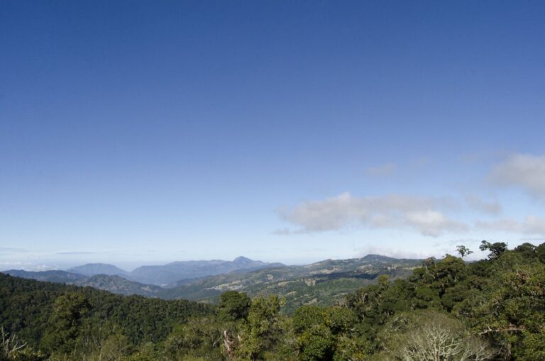 Eco City Tours | Descubrí Costa Rica con un guía local