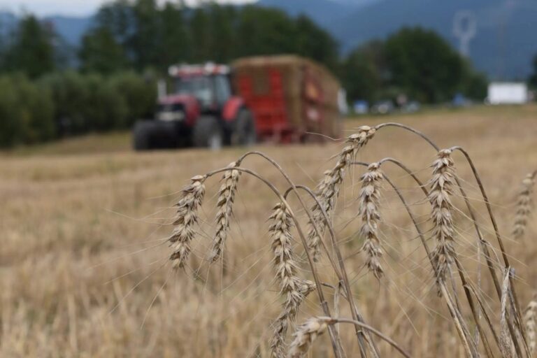Farma Hreus