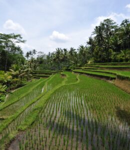 Indonesia