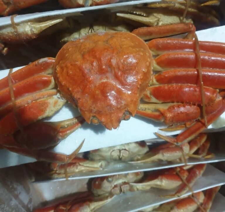 Karmaceli AS – Seafood