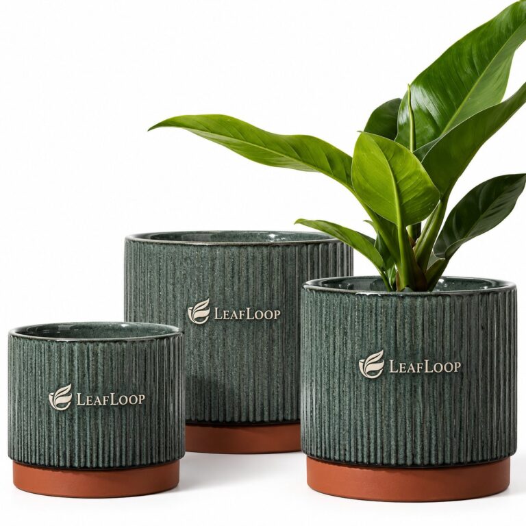 leafloop.shop – Where Nature Meets Design