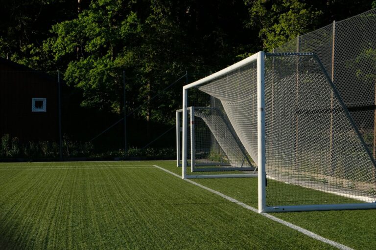 Synthetic Athletic Field Maintenance & Testing | STMG