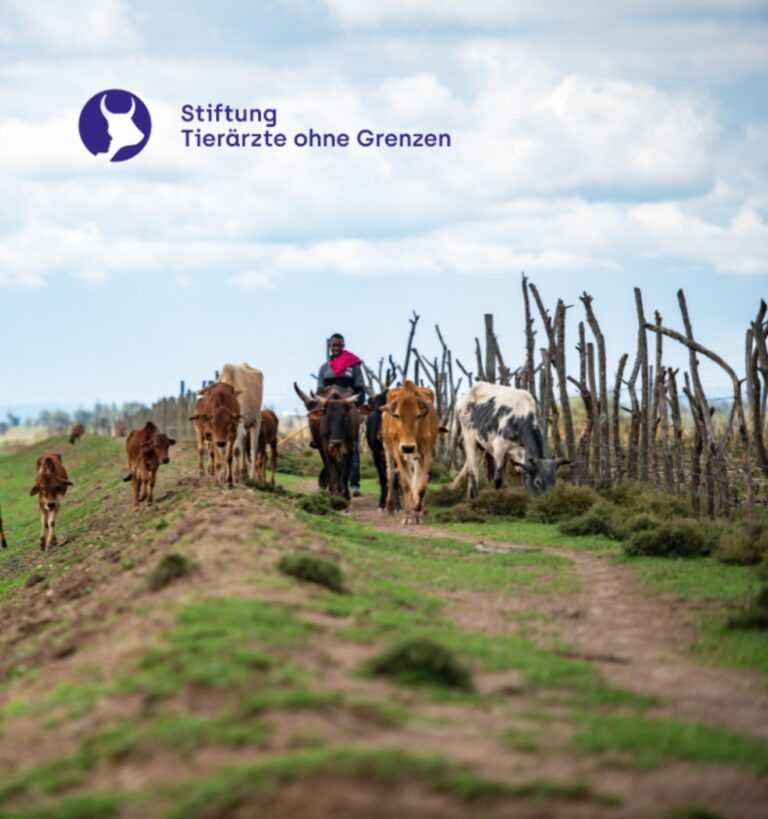 Stiftung Warentest: Tierärzte Ohne Grenzen “Sehr Gut”