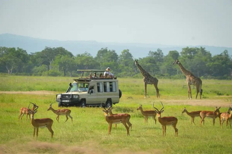Yako African Adventures