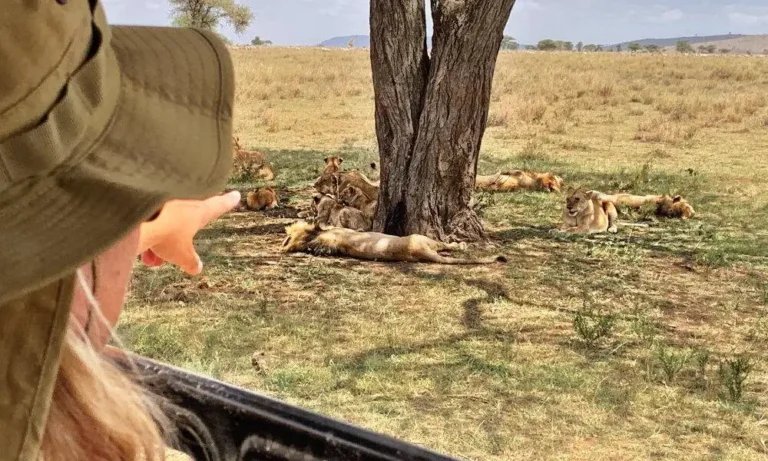 Yako African Adventures