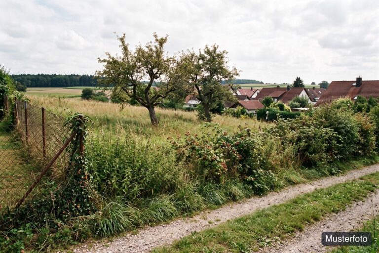Zwangsversteigerungen in Deutschland: alle Termine der Amtsgerichte · ZVG-Finder