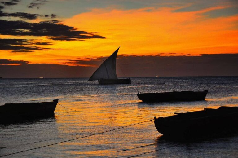 ABU Zanzibar Tours