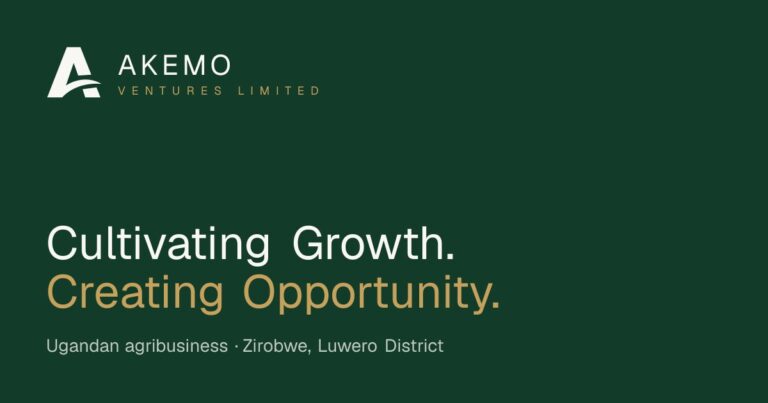 AKEMO Ventures Limited