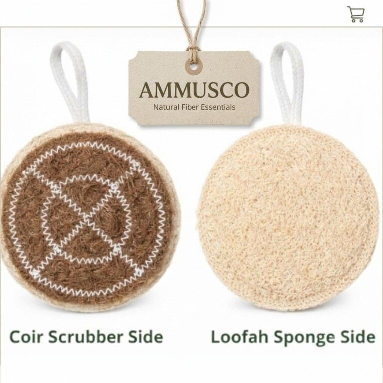 AMMUS & CO