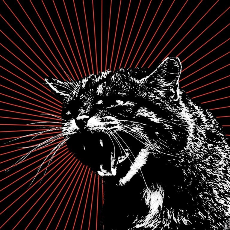 Anarchist Union Journal