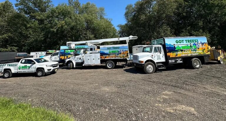 Angel’s Tree Service