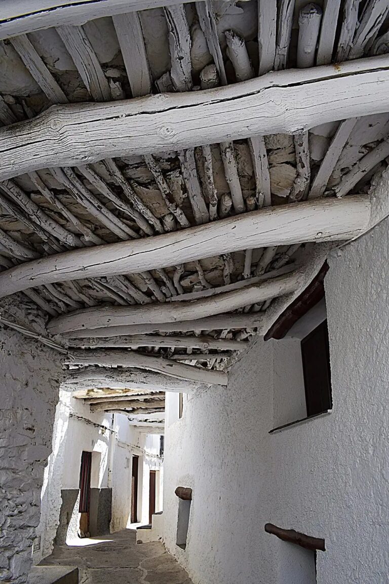 Baldosa