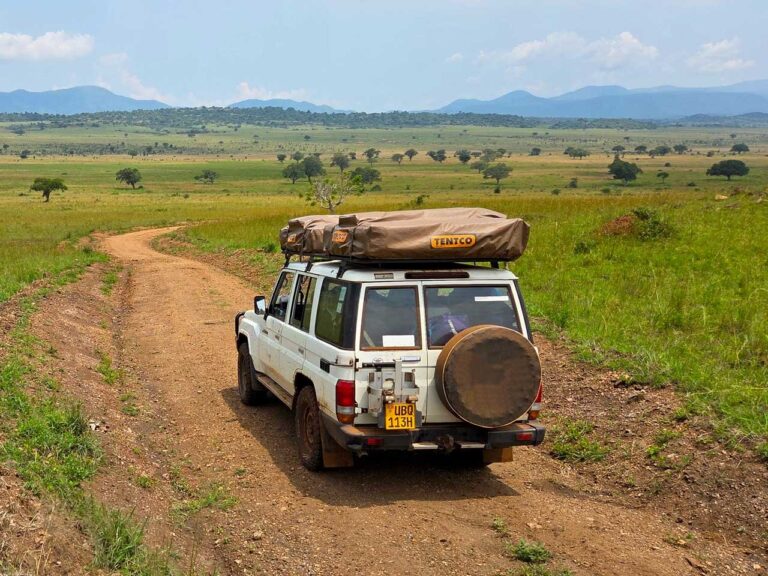 Best Car Rental Kenya