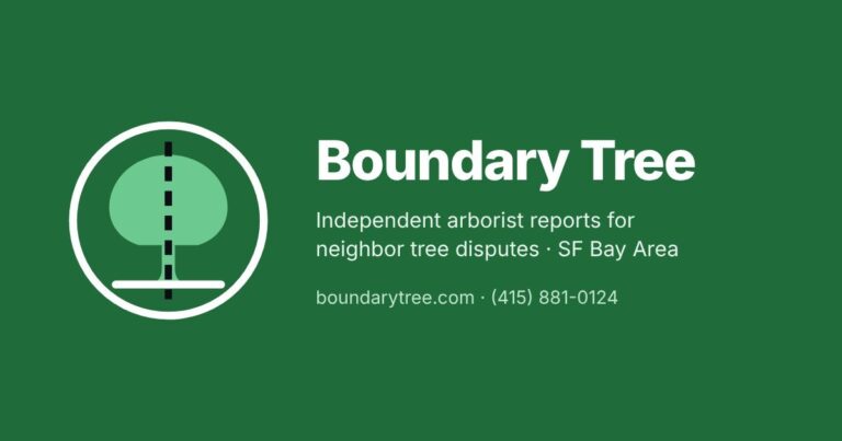 Boundary Tree