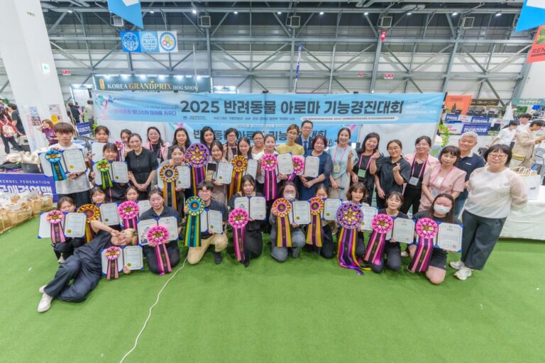 BY Dorothy Lifelong Education Center (바이도로시평생교육원)