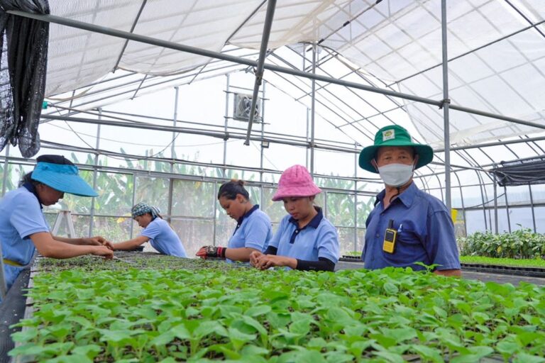 CACCE (Cambodia Agriculture and Construction Center of Excellence)