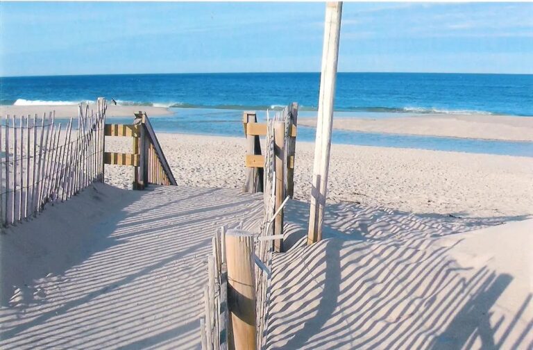 Cape Cod Dog Guide