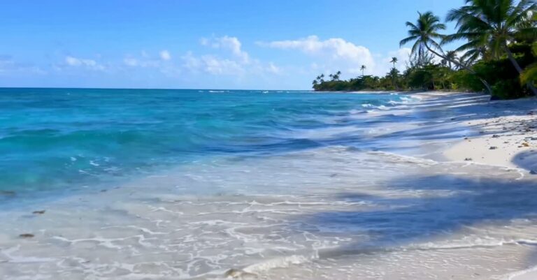 Caribbean Cuisine Connection