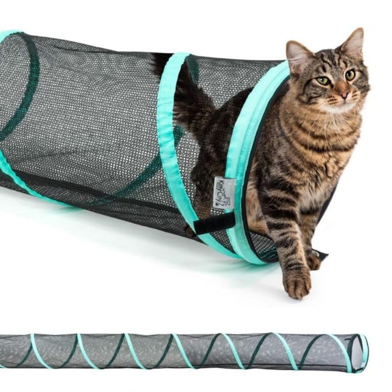 Catio Company
