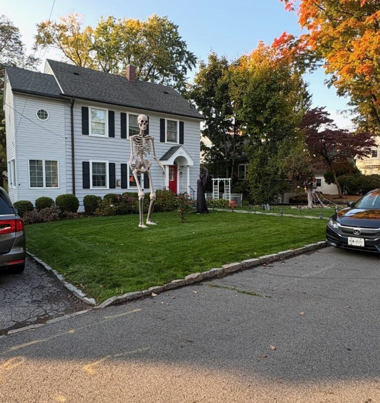 CNJ Tree Services