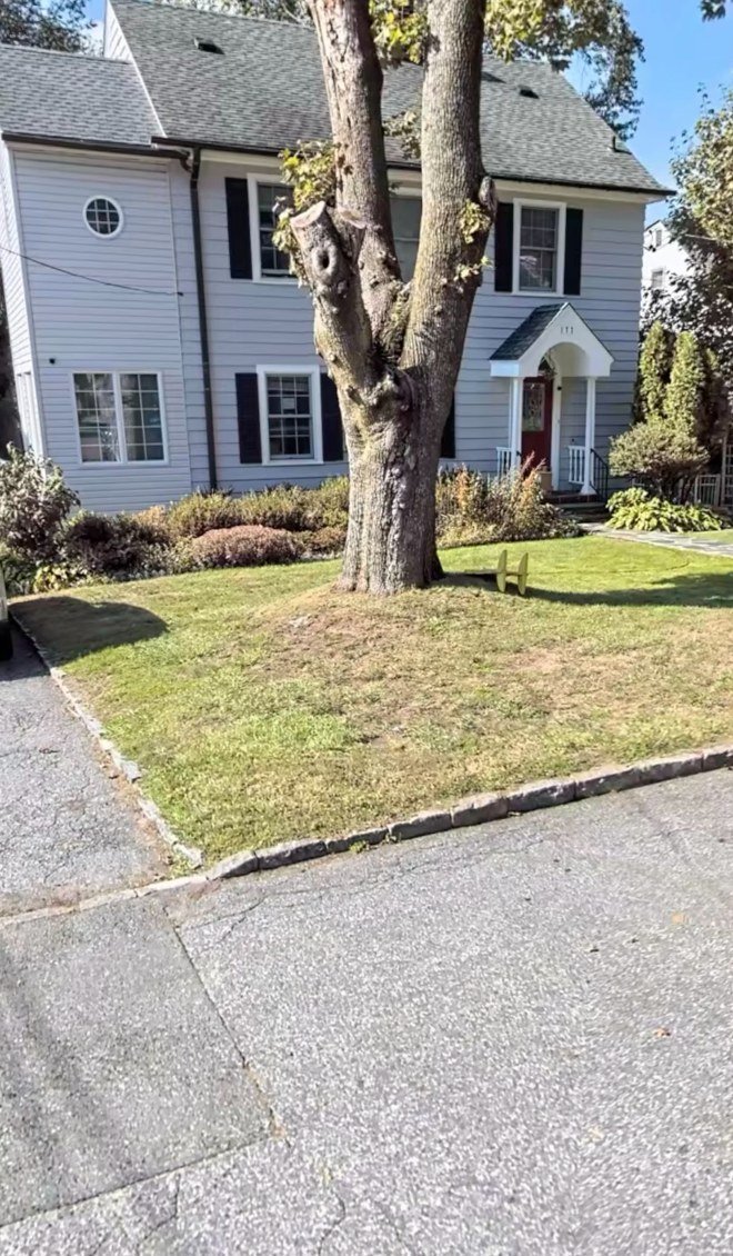 CNJ Tree Services
