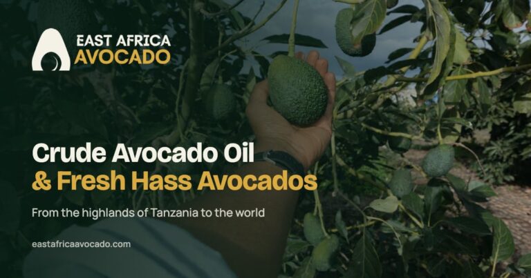 East Africa Avocado