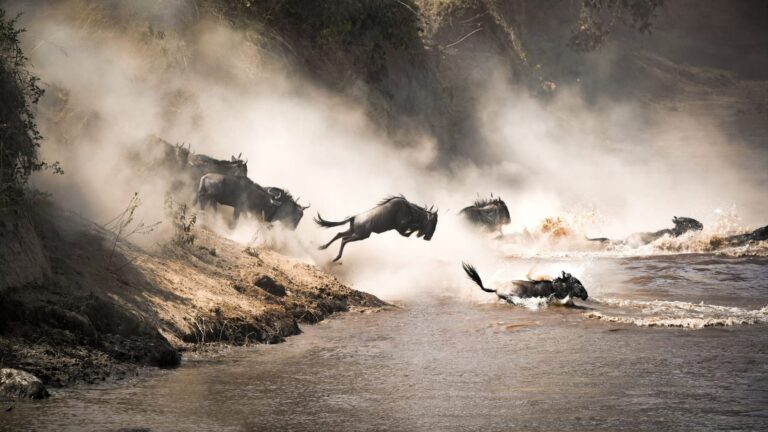Finders & Keepers Safaris