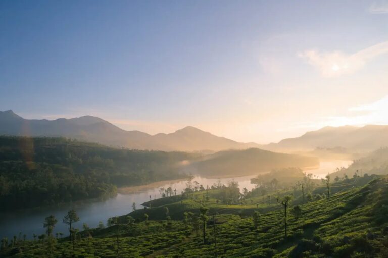 FindKerala.com