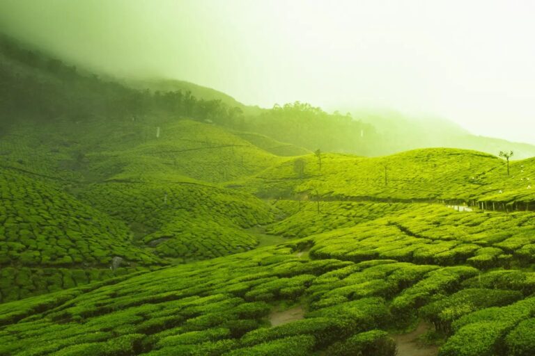 FindKerala.com