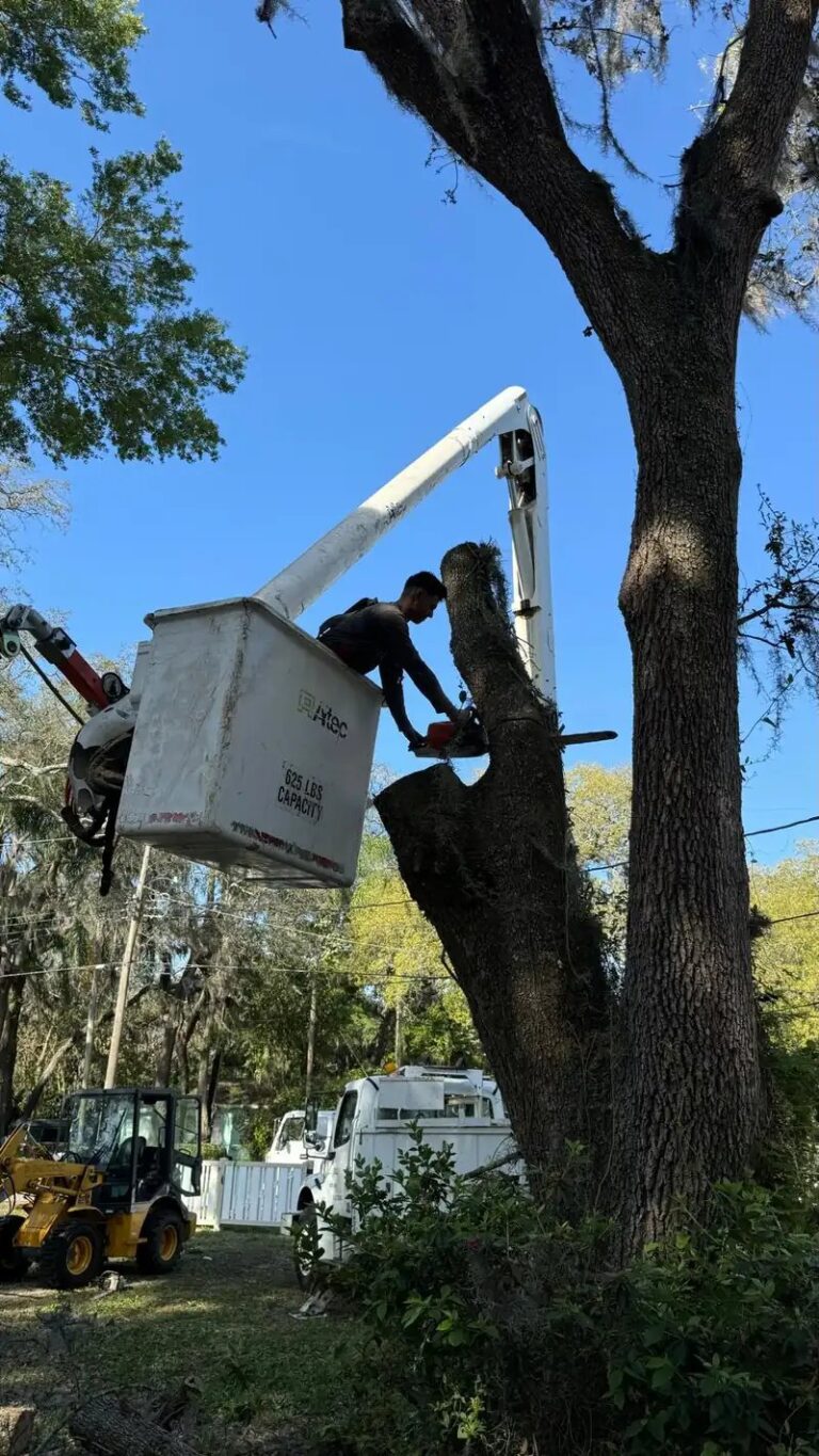 FTDF Services