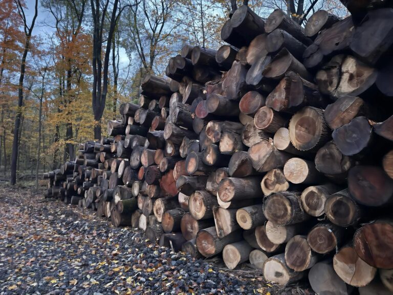 Laurel Brook Lumber