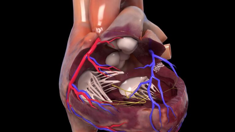 Medical Motions