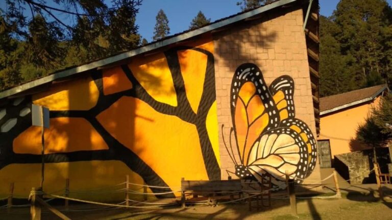 Monarch Mexico
