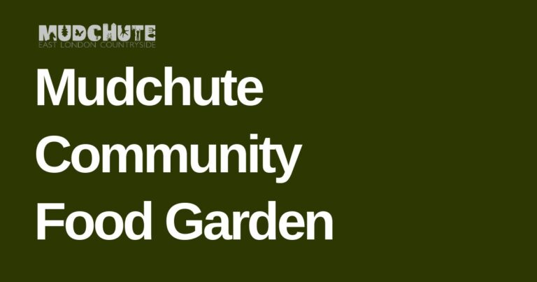 Mudchute Community Food Garden
