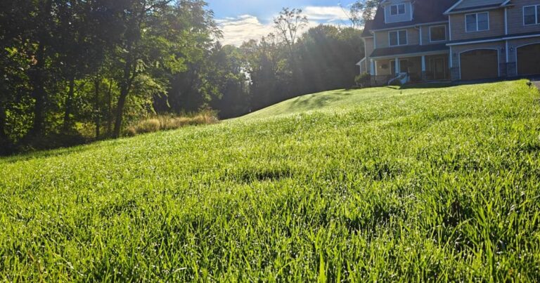 O. A. Thomas Landscaping