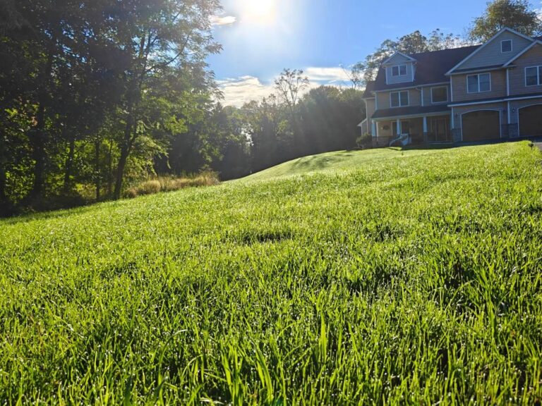 O. A. Thomas Landscaping