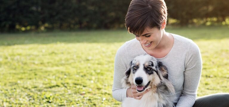 Pet Sitters International
