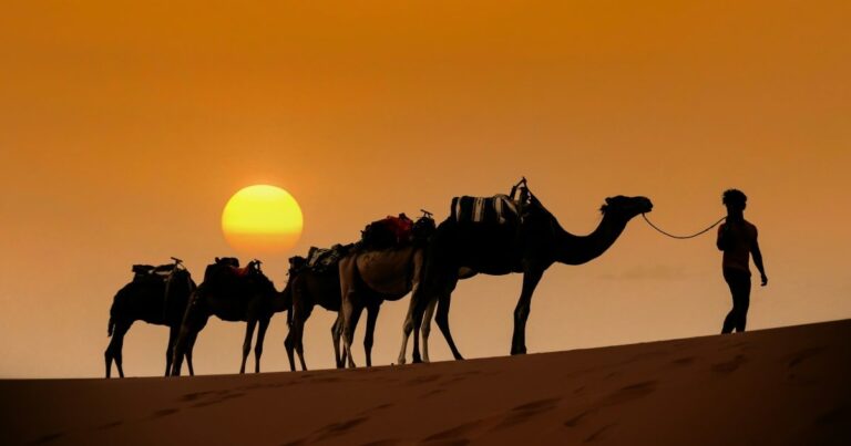 Maroc Travel Ride