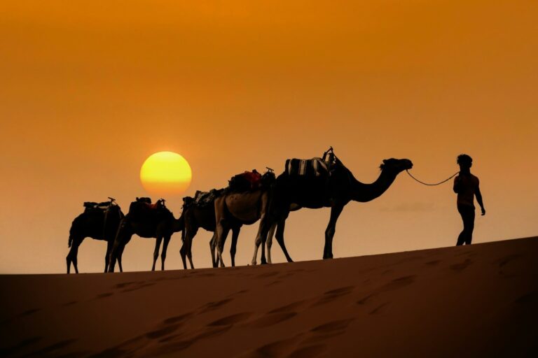 Maroc Travel Ride