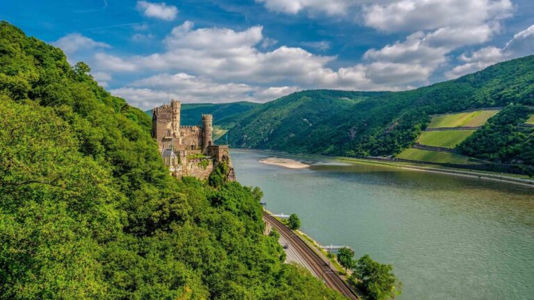 Rhine River Cruises